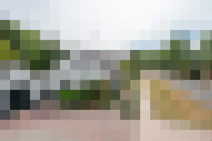 Oud Brandevoort 11 Helmond thumbnail 8