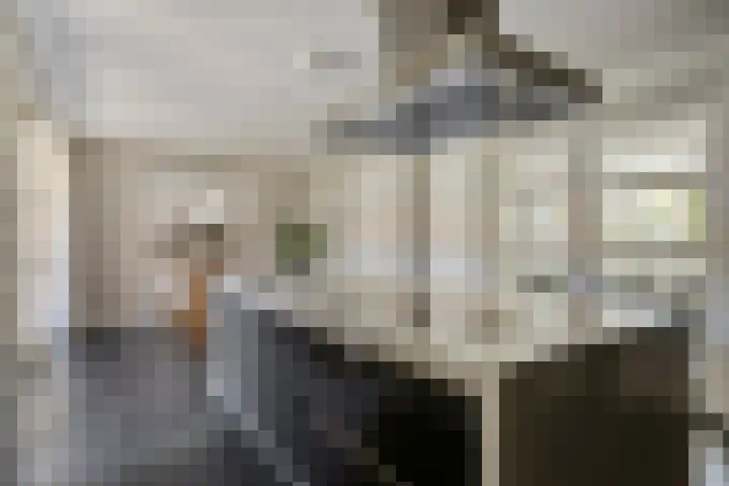 Oud Brandevoort 21 Helmond thumbnail 19