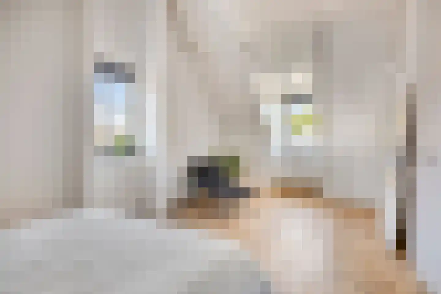 Oud Brandevoort 21 Helmond thumbnail 40