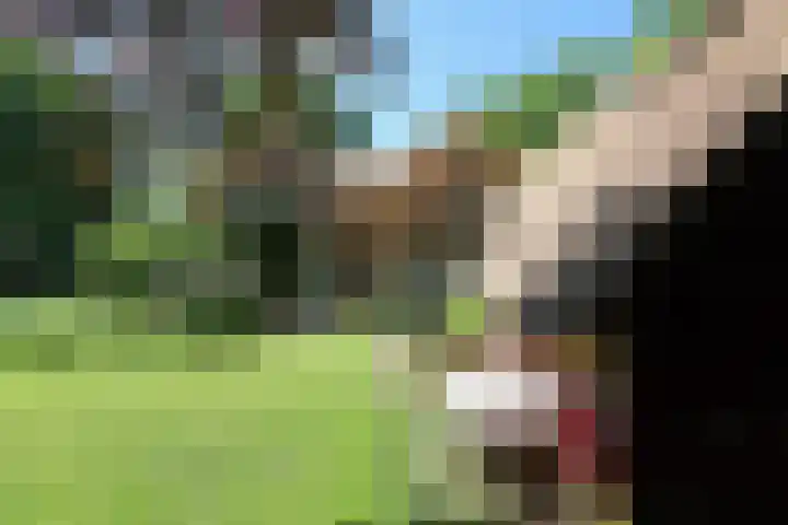 Oud Bussummerweg 11 Huizen thumbnail 4