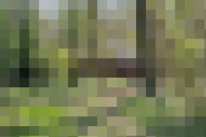 Oud Clingendaal 7 A Wassenaar thumbnail 4