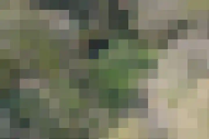 Oud Clingendaal 7 A Wassenaar thumbnail 6