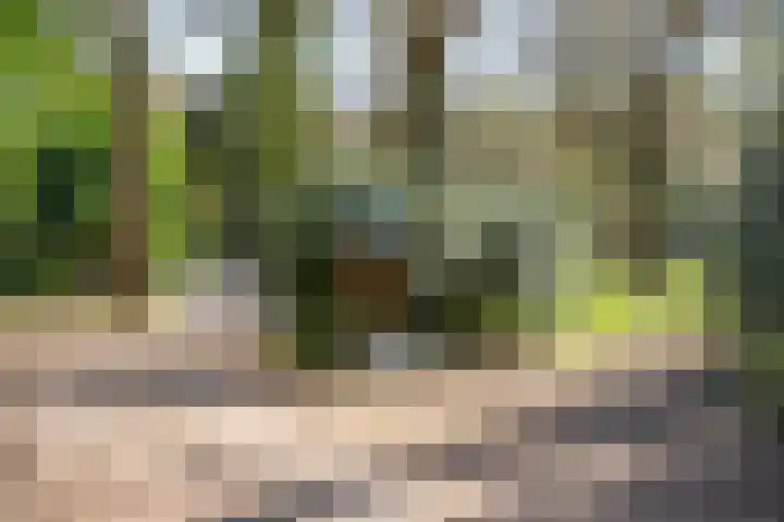 Oud Clingendaal 7 A Wassenaar thumbnail 7