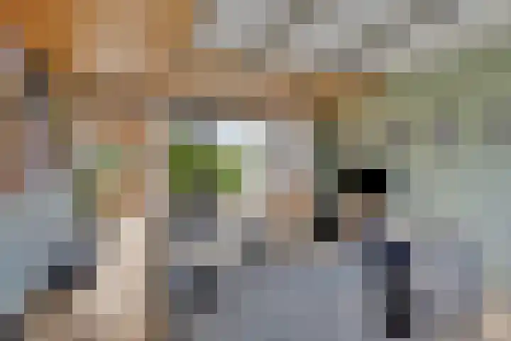 Oud-Cromstrijensedijk OZ 11 Klaaswaal thumbnail 10