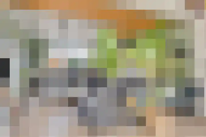 Oud-Cromstrijensedijk OZ 11 Klaaswaal thumbnail 12