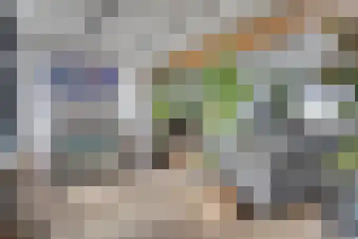 Oud-Cromstrijensedijk OZ 11 Klaaswaal thumbnail 13