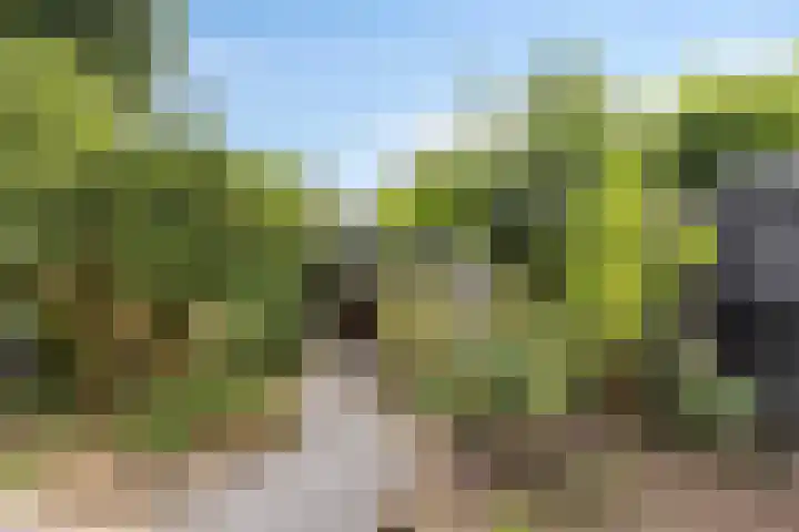 Oud-Cromstrijensedijk OZ 11 Klaaswaal thumbnail 17