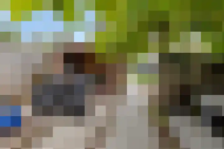 Oud-Cromstrijensedijk OZ 11 Klaaswaal thumbnail 19