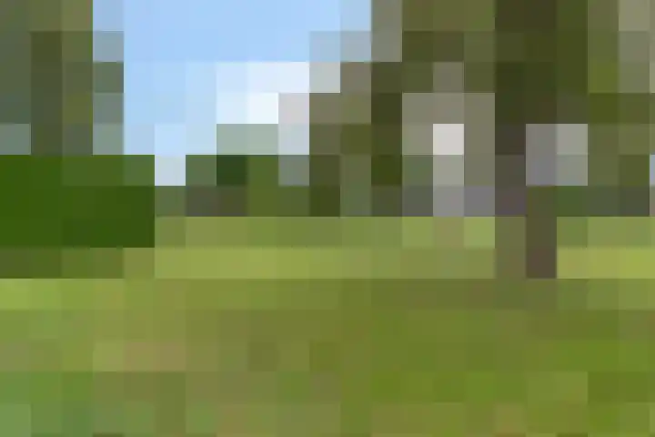 Oud-Cromstrijensedijk OZ 11 Klaaswaal thumbnail 21