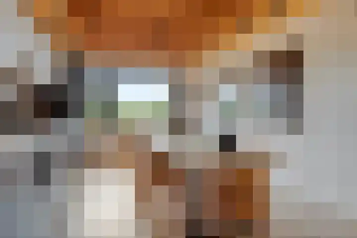 Oud-Cromstrijensedijk OZ 11 Klaaswaal thumbnail 28