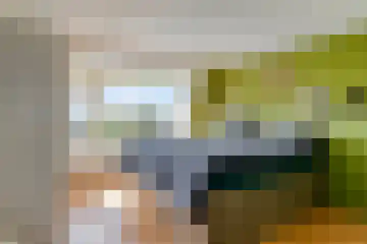 Oud-Cromstrijensedijk OZ 11 Klaaswaal thumbnail 37