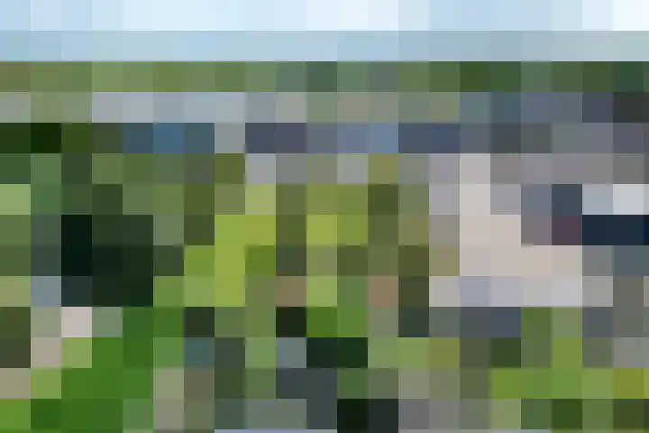 Oud-Cromstrijensedijk OZ 11 Klaaswaal thumbnail 41