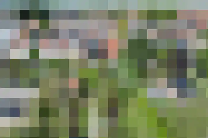 Oud-Cromstrijensedijk OZ 11 Klaaswaal thumbnail 42