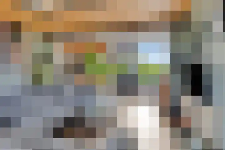 Oud-Cromstrijensedijk OZ 11 Klaaswaal thumbnail 8
