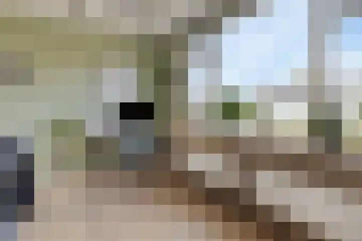 Oud-Cromstrijensedijk OZ 11 Klaaswaal thumbnail 9