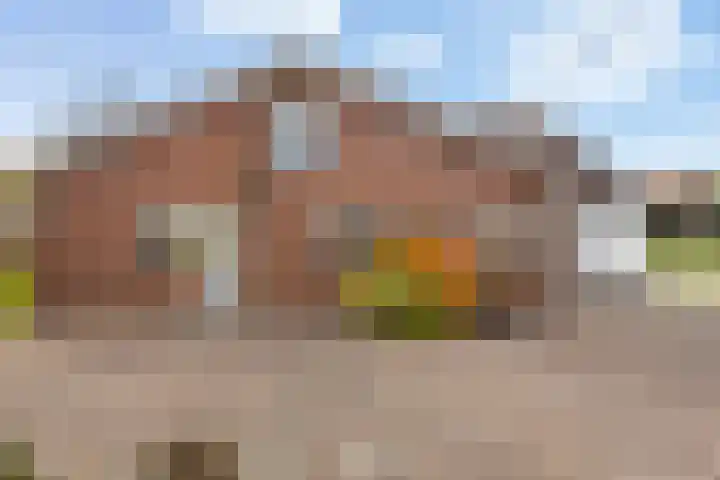 Oud-Cromstrijensedijk OZ 42 Klaaswaal thumbnail 10