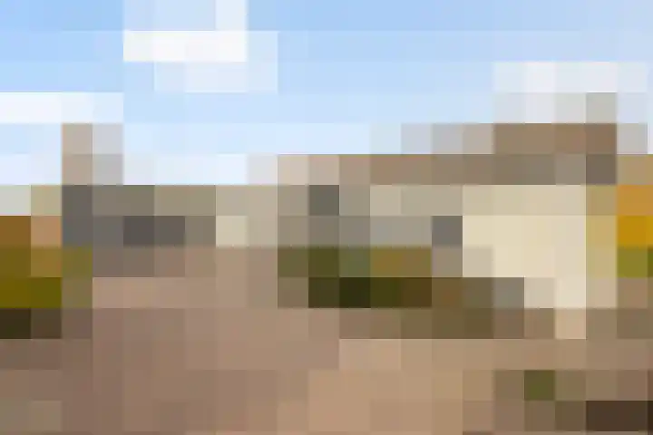 Oud-Cromstrijensedijk OZ 42 Klaaswaal thumbnail 13