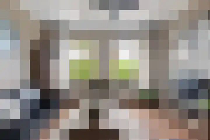 Oud-Cromstrijensedijk OZ 42 Klaaswaal thumbnail 20