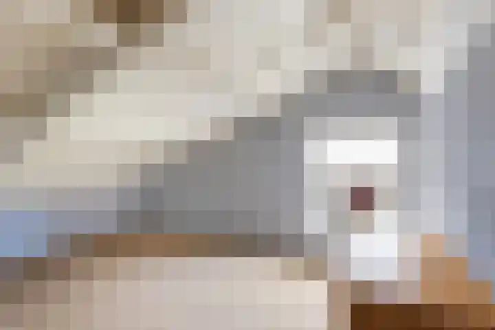Oud-Cromstrijensedijk OZ 42 Klaaswaal thumbnail 39