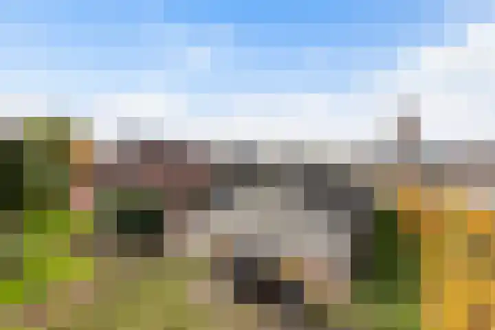 Oud-Cromstrijensedijk OZ 42 Klaaswaal thumbnail 57