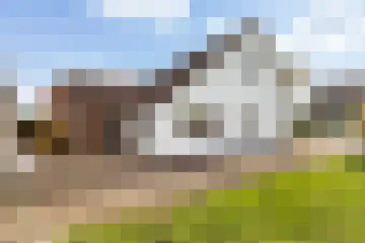 Oud-Cromstrijensedijk OZ 42 Klaaswaal thumbnail 8