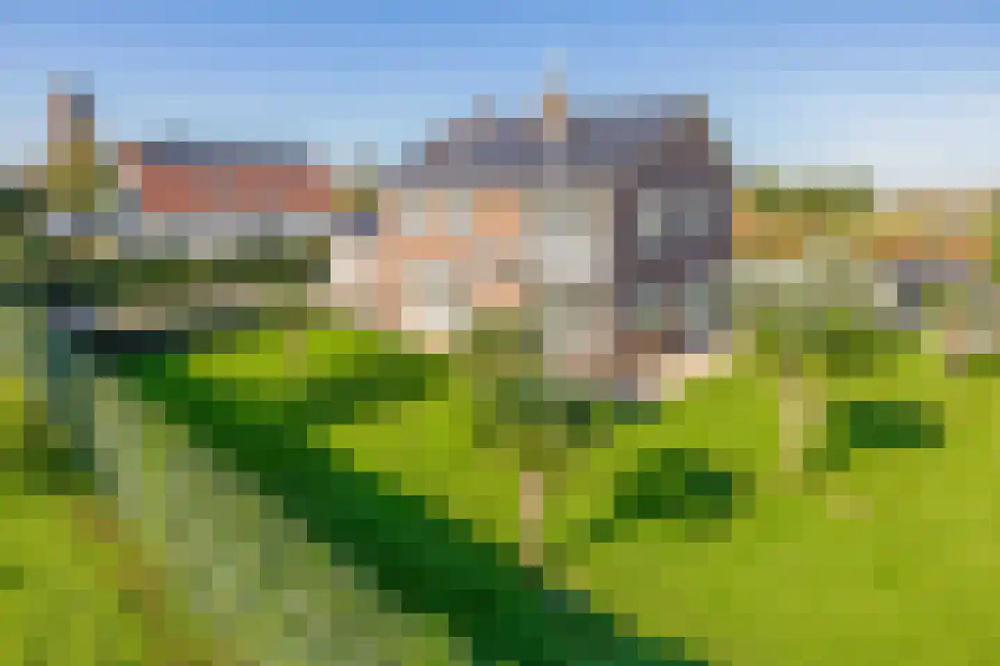 Oud-Cromstrijensedijk OZ 44 a Klaaswaal thumbnail 57