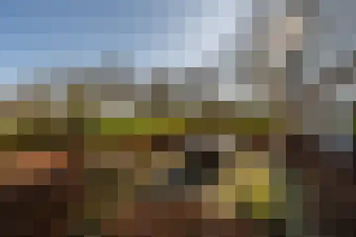 Oud-Cromstrijensedijk OZ 54 a Klaaswaal thumbnail 51