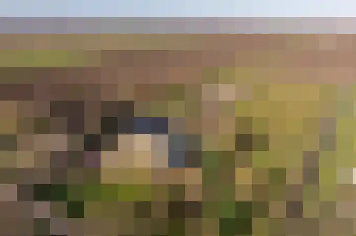 Oud-Cromstrijensedijk OZ 54 a Klaaswaal thumbnail 55