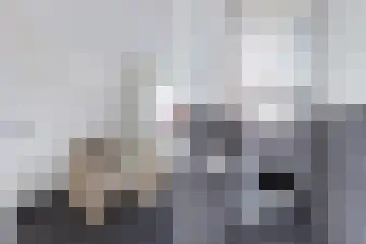 Oud-Cromstrijensedijk OZ 83 Klaaswaal thumbnail 20