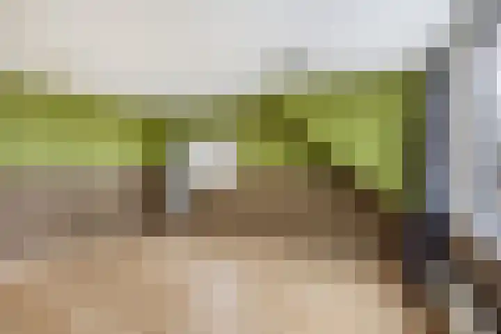 Oud-Cromstrijensedijk OZ 83 Klaaswaal thumbnail 31