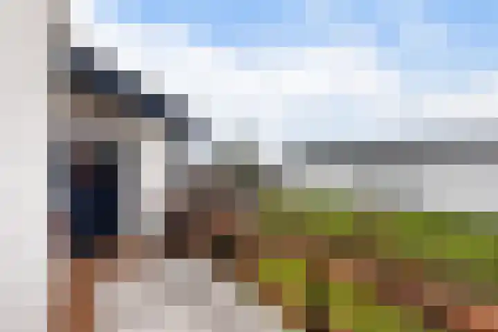 Oud-Cromstrijensedijk OZ 83 Klaaswaal thumbnail 40