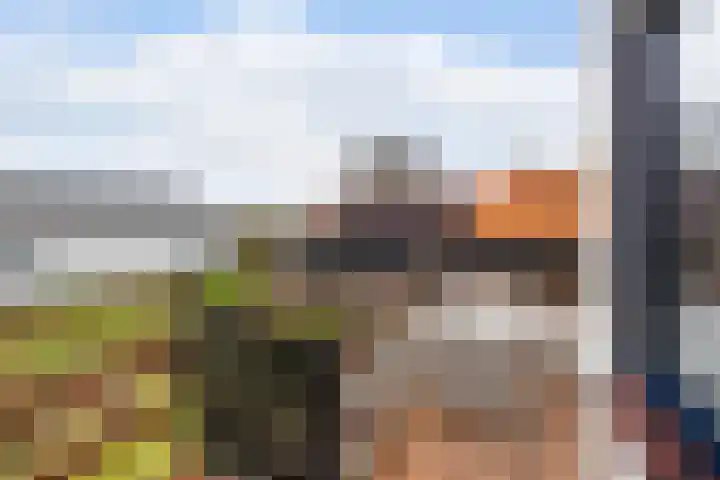 Oud-Cromstrijensedijk OZ 83 Klaaswaal thumbnail 41