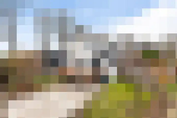Oud-Cromstrijensedijk OZ 83 Klaaswaal thumbnail 43
