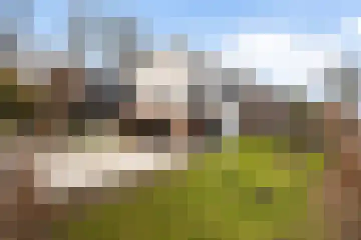 Oud-Cromstrijensedijk OZ 83 Klaaswaal thumbnail 44