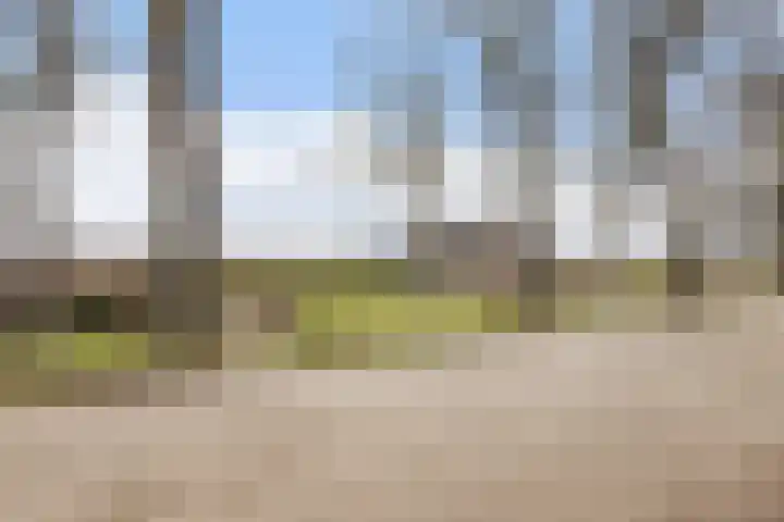 Oud-Cromstrijensedijk OZ 83 Klaaswaal thumbnail 51