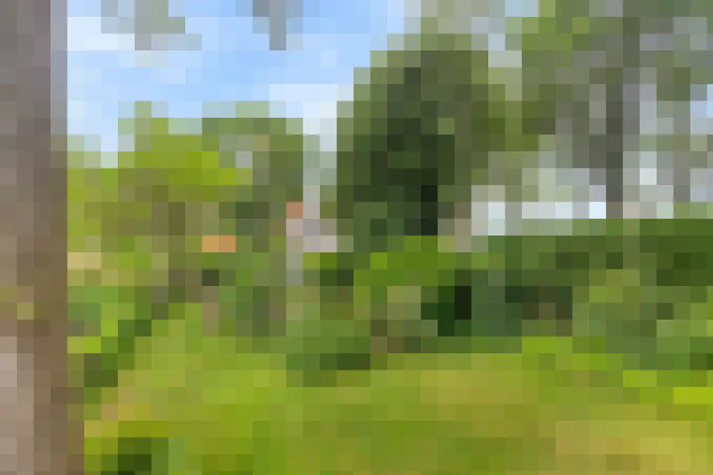 Oud-Cromstrijensedijk OZ 95 Klaaswaal thumbnail 33