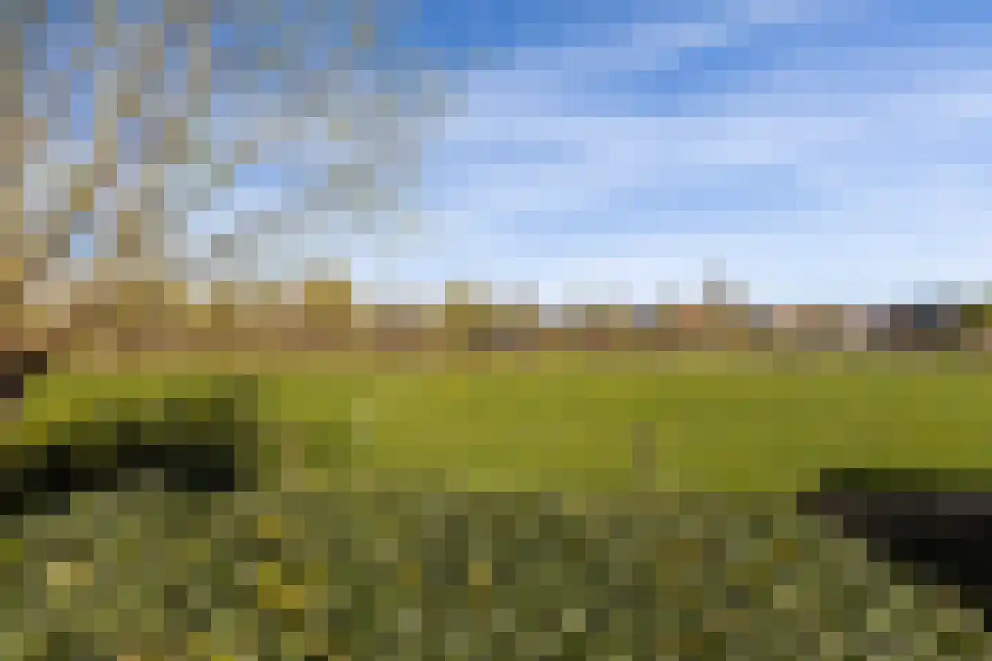 Oud-Cromstrijensedijk WZ 23 Klaaswaal thumbnail 26
