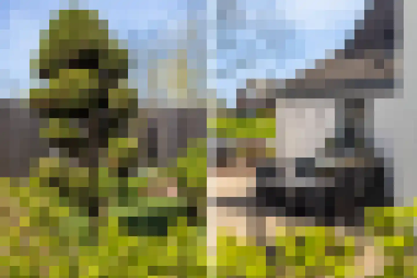 Oud-Cromstrijensedijk WZ 23 Klaaswaal thumbnail 44