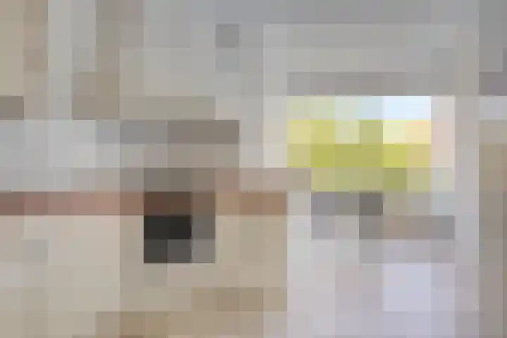 Oud-Cromstrijensedijk WZ 5 Klaaswaal thumbnail 13