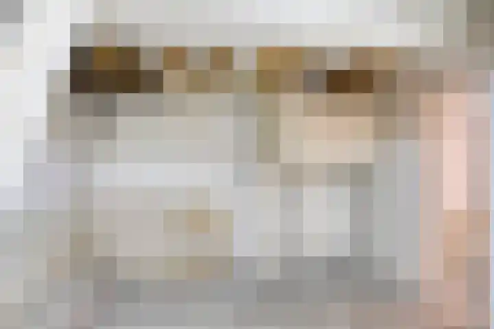 Oud-Cromstrijensedijk WZ 5 Klaaswaal thumbnail 17