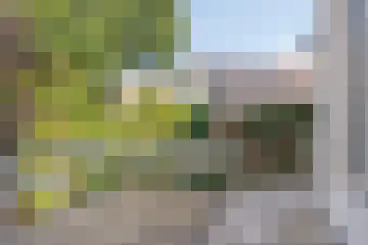 Oud-Cromstrijensedijk WZ 5 Klaaswaal thumbnail 39