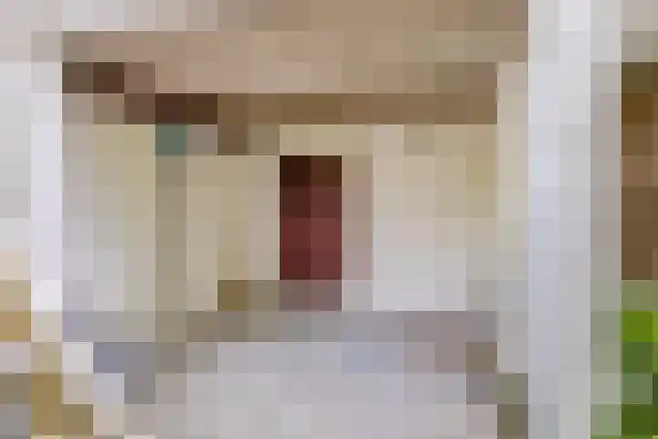 Oud-Cromstrijensedijk WZ 5 Klaaswaal thumbnail 43