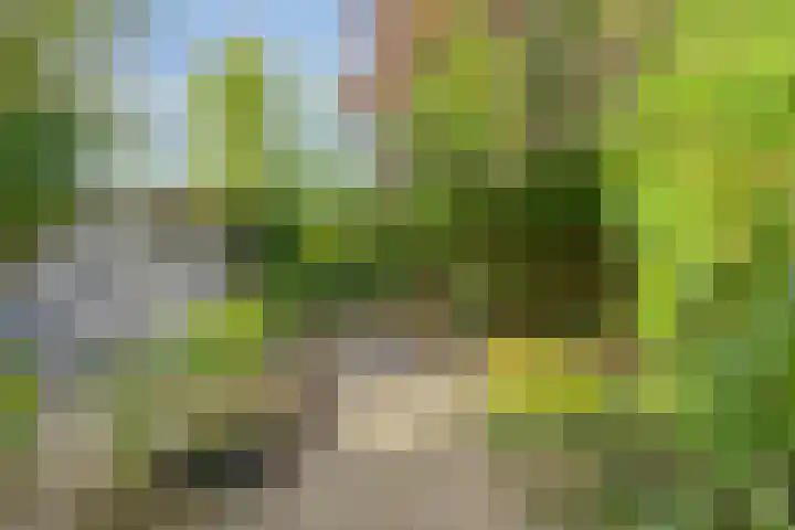 Oud-Cromstrijensedijk WZ 5 Klaaswaal thumbnail 46
