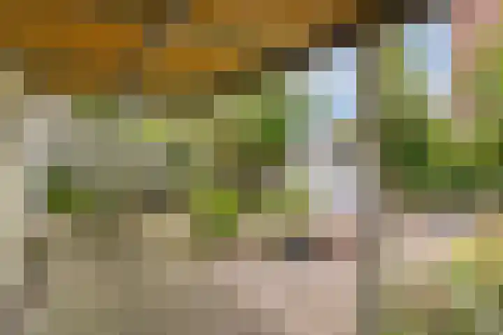 Oud-Cromstrijensedijk WZ 5 Klaaswaal thumbnail 47