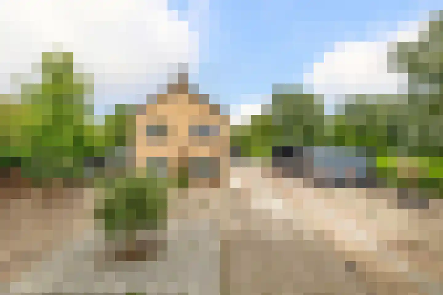 Oud-Cromstrijensedijk WZ 71 a Klaaswaal thumbnail 12