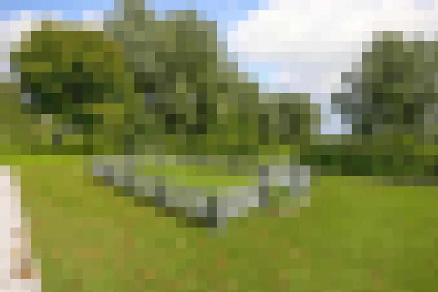 Oud-Cromstrijensedijk WZ 71 a Klaaswaal thumbnail 39