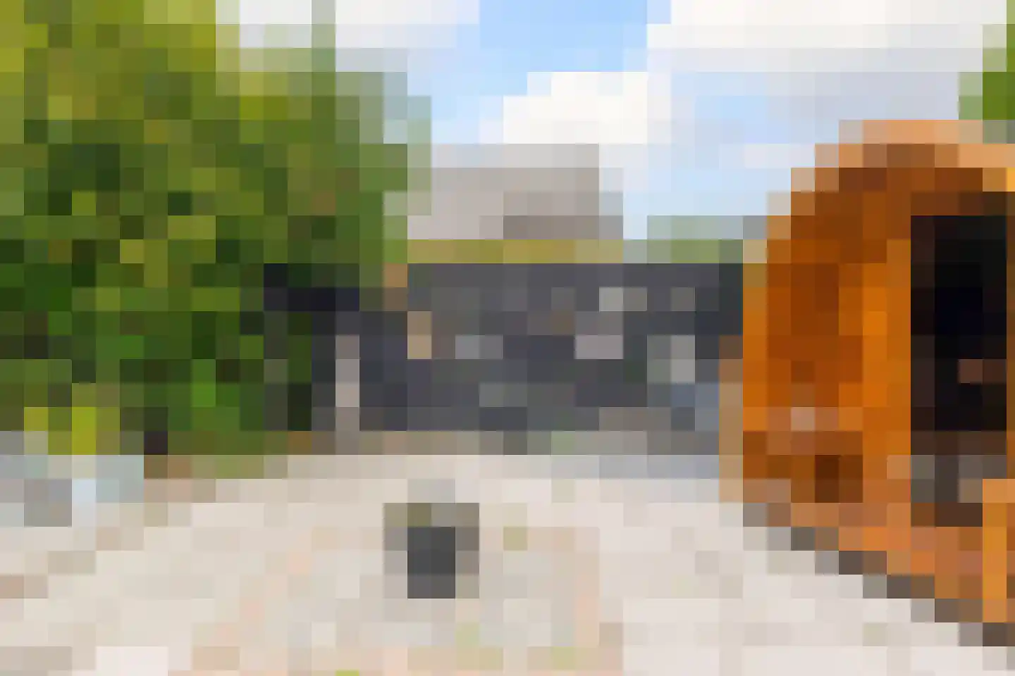 Oud-Cromstrijensedijk WZ 71 a Klaaswaal thumbnail 48