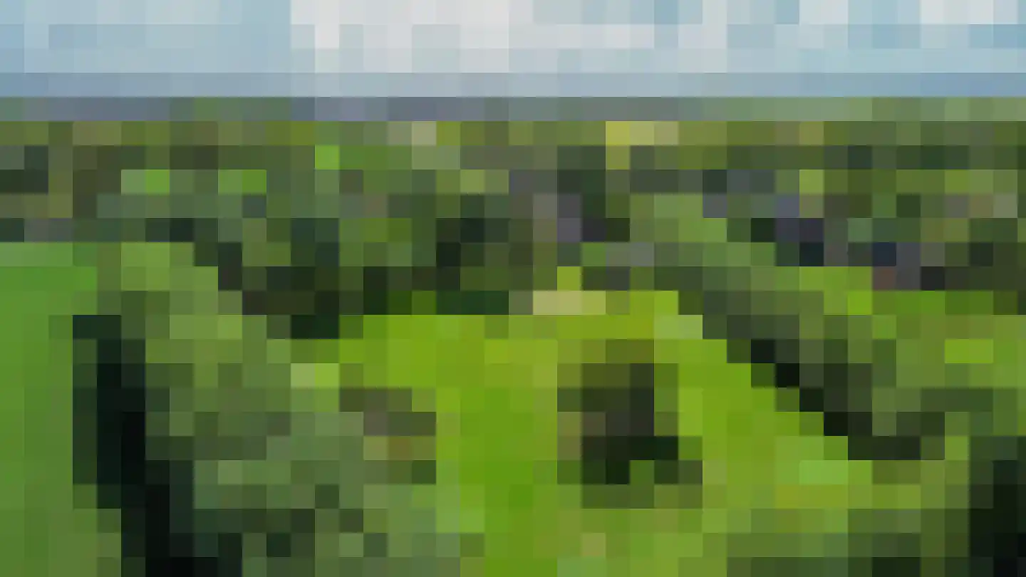 Oud-Cromstrijensedijk WZ 71 a Klaaswaal thumbnail 68
