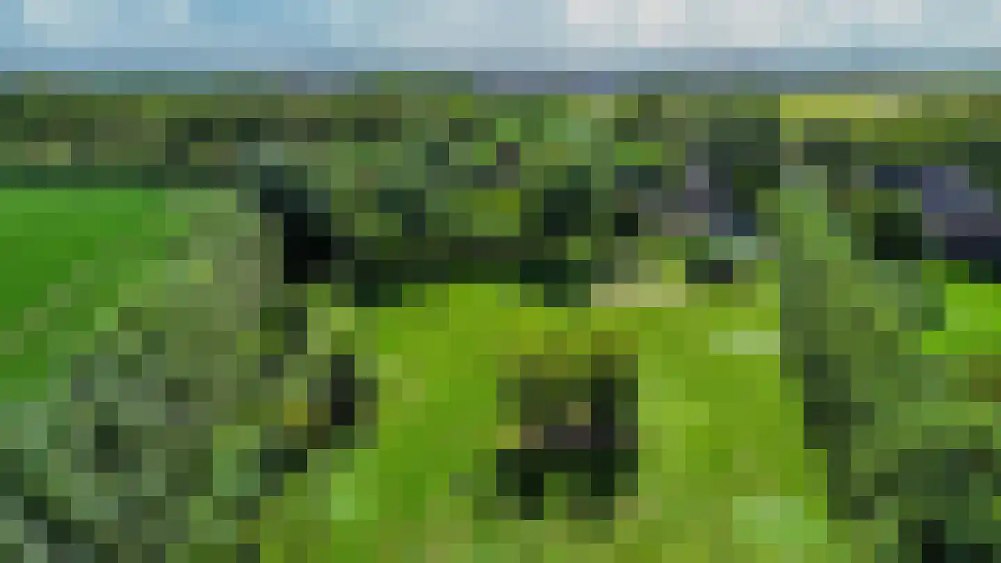 Oud-Cromstrijensedijk WZ 71 a Klaaswaal thumbnail 69