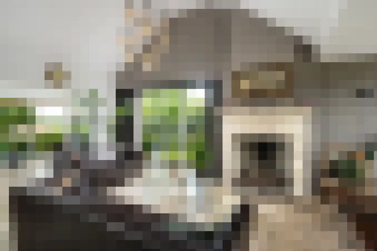Oud-Cromstrijensedijk WZ 78 Klaaswaal thumbnail 12